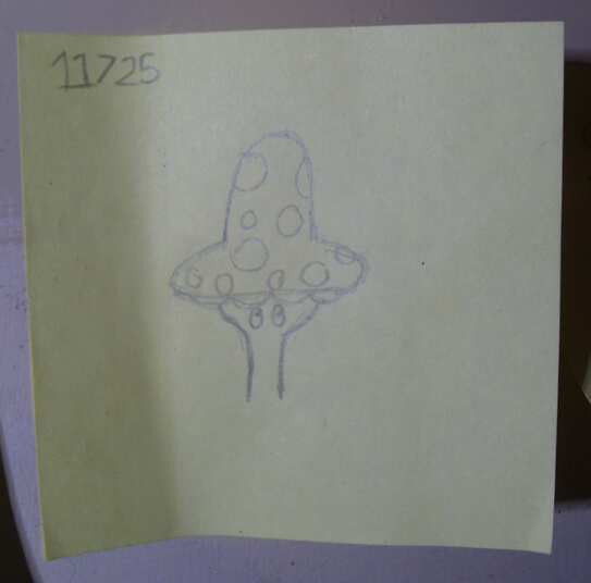 Sketch by spookie on 11/07/2025