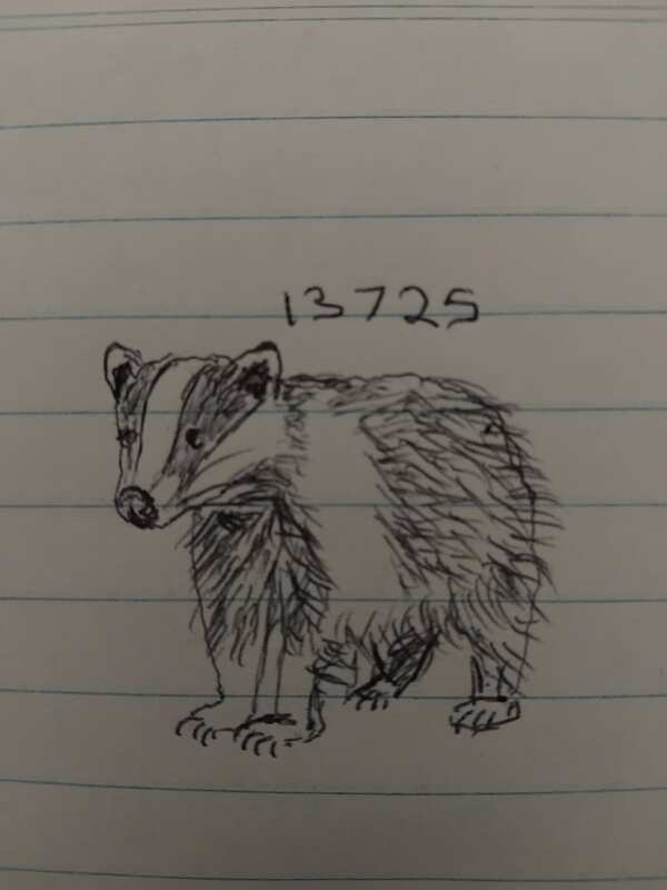 Sketch by emiloo on 13/07/2025