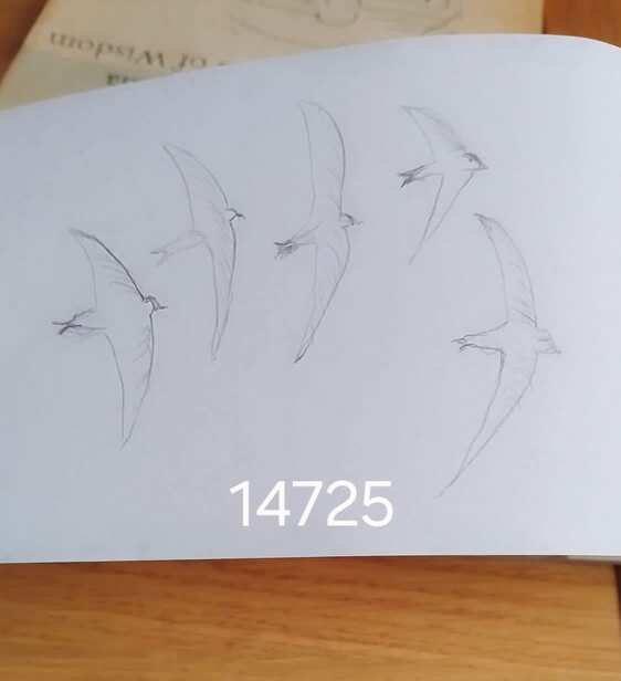Sketch by nanna on 14/07/2025