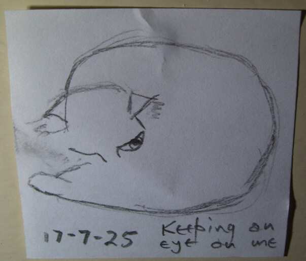 Sketch by carfax on 17/07/2025