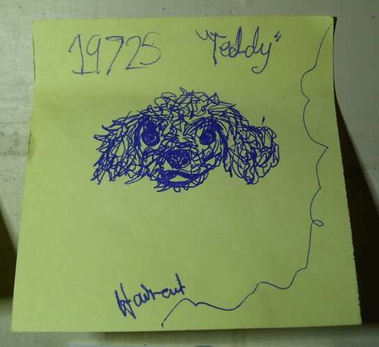 Sketch by spookie on 19/07/2025