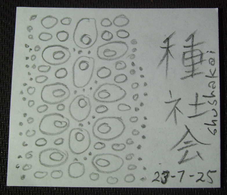 Sketch by carfax on 23/07/2025